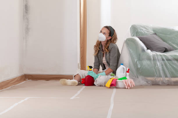 Reliable Mold Removal contractor in Clearwater, FL by WQB Mold Removal